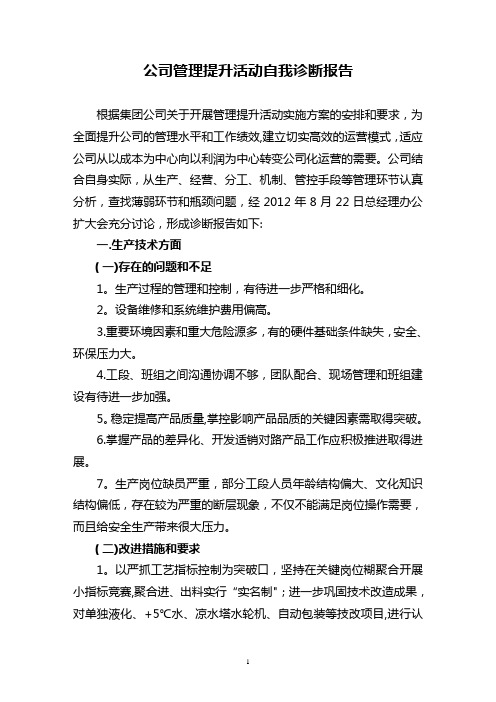 公司管理提升活动自我诊断报告