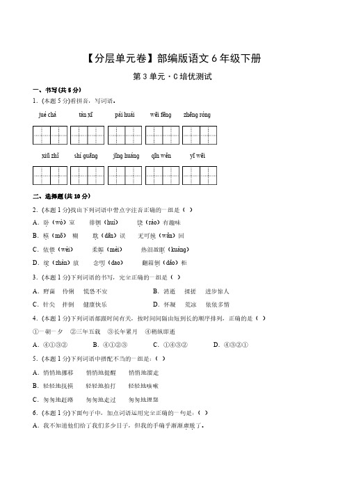 部编版语文6年级下册第3单元C培优测试卷试题及答案