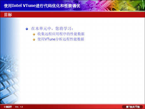 NIIT Intel_VTune中文PPT11