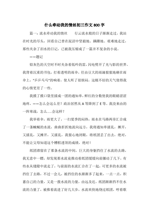 《什么牵动我的情丝初三作文800字》初中三年级作文