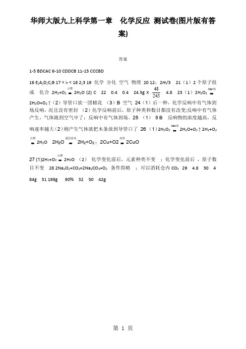 华师大版九上科学第一章  化学反应 测试卷(图片版有答案)