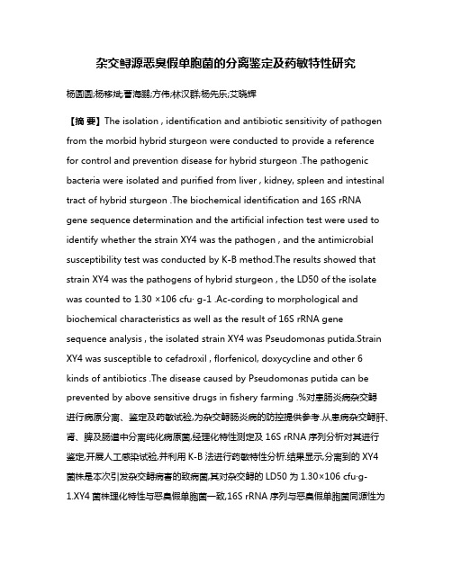 杂交鲟源恶臭假单胞菌的分离鉴定及药敏特性研究