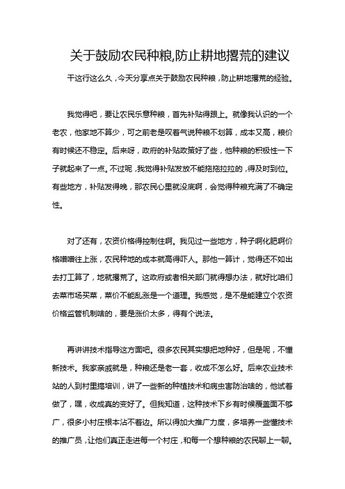 关于鼓励农民种粮,防止耕地撂荒的建议