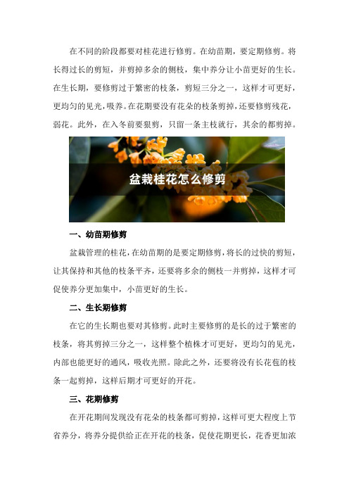 盆栽桂花怎么修剪(修剪技术图解)