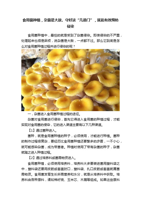 食用菌种植，杂菌是大敌。守好这“几道门”，就能有效预防侵染