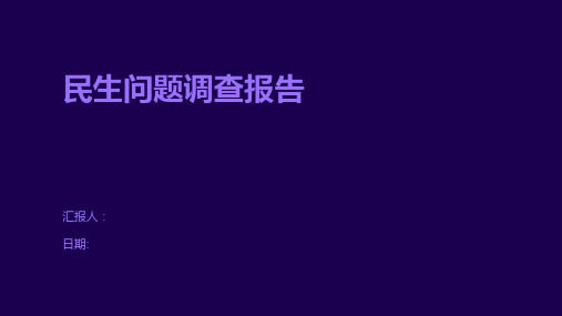 民生问题调查报告