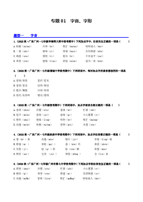 专题01字音字形(原卷版)3