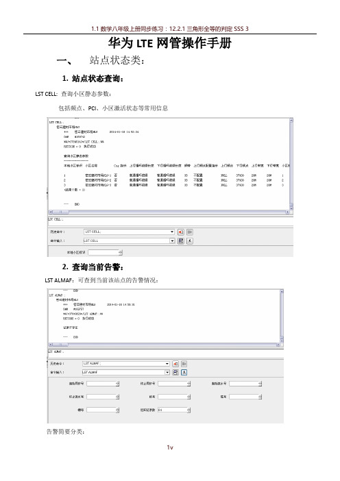 华为LTE网管操作手册