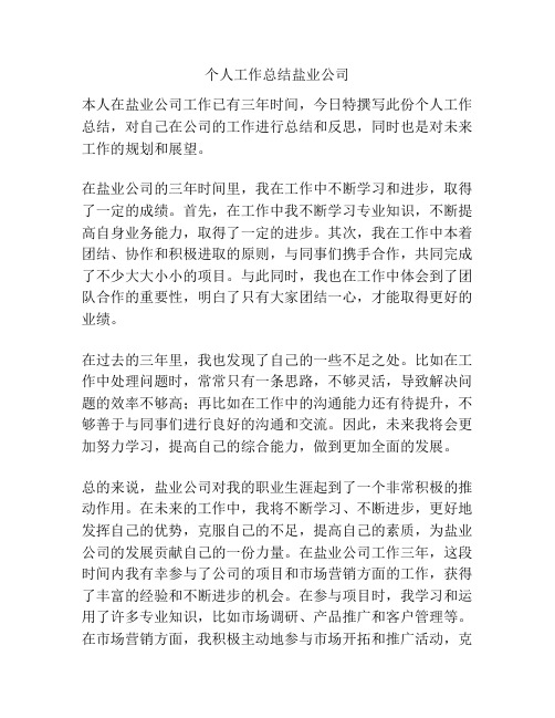 个人工作总结盐业公司