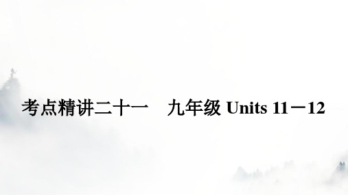 人教版中考英语复习考点二十一九年级Units11-12课件