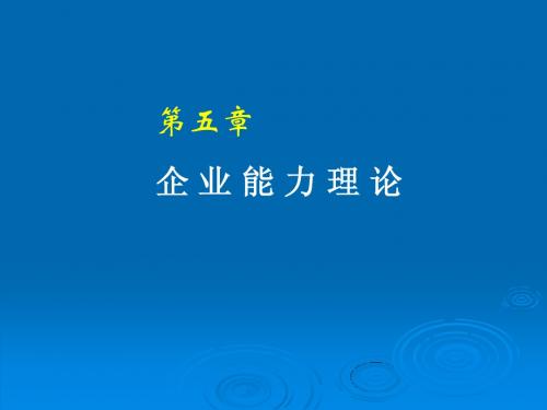 企业能力理论