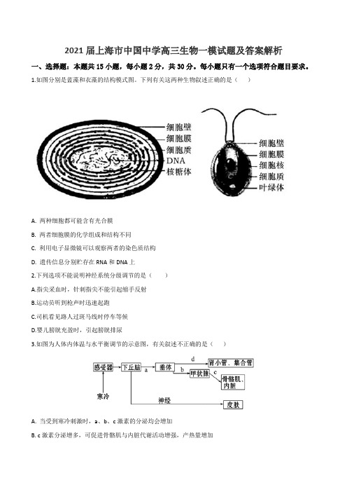 2021届上海市中国中学高三生物一模试题及答案解析