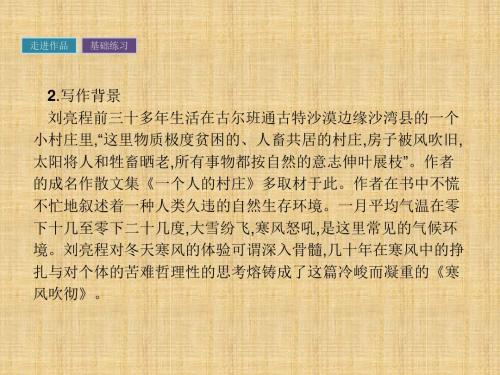 寒风吹彻( 《中国现代散文选读》),精品系列