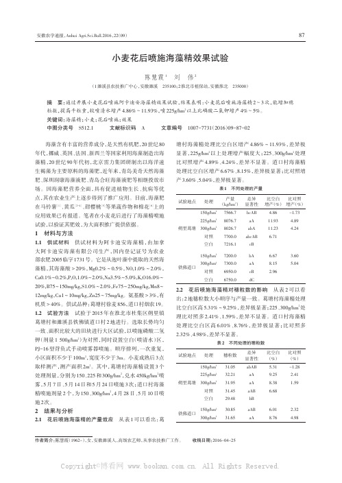 小麦花后喷施海藻精效果试验