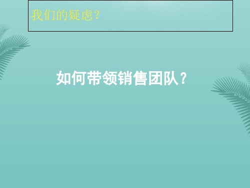 如何带领销售团队.优秀精选PPT