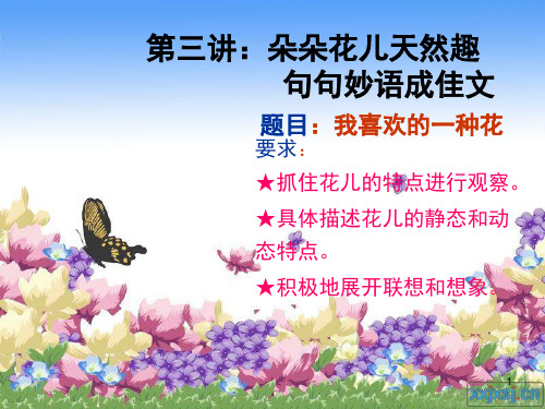 我喜欢的一种花(课堂PPT)