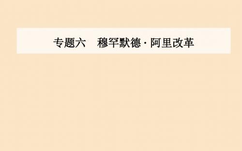 高中历史专题六穆罕默德•阿里改革一亟待拯救的文明古国课件人民版选修1