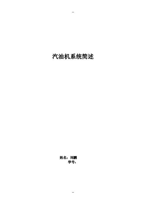 汽油机燃油供给与喷射系统、燃烧系统及排放特点