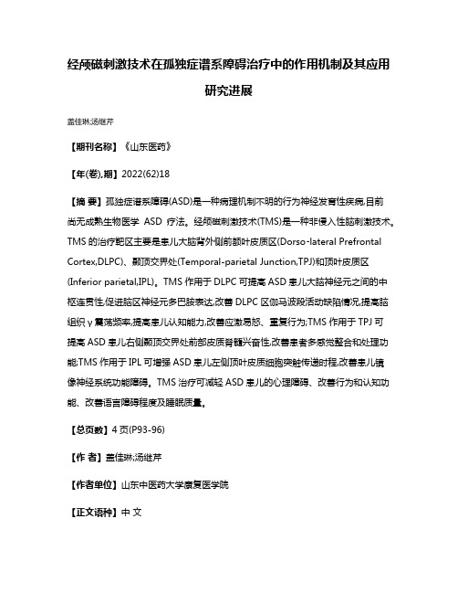 经颅磁刺激技术在孤独症谱系障碍治疗中的作用机制及其应用研究进展