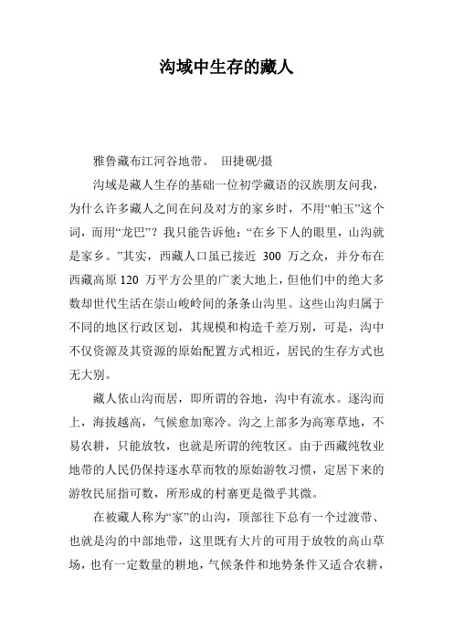 沟域中生存的藏人
