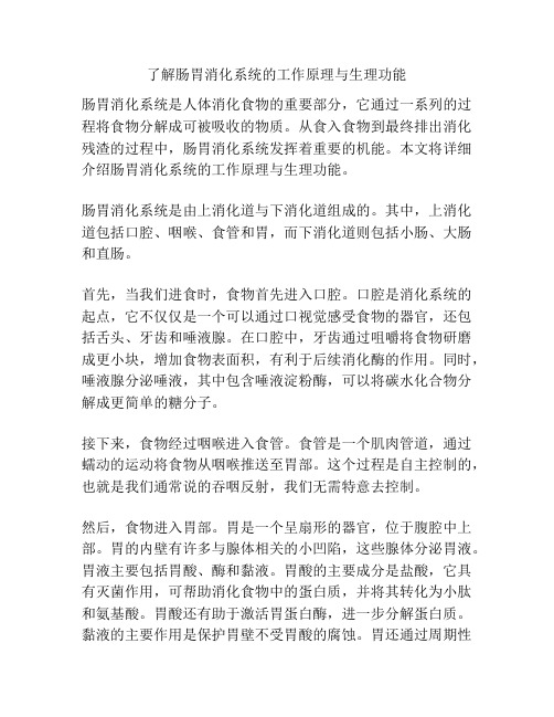 了解肠胃消化系统的工作原理与生理功能