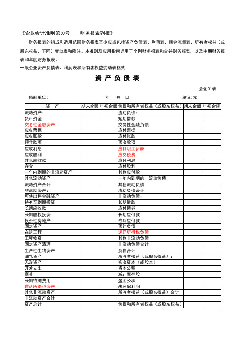 财务报表标准格式_完整版