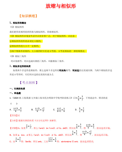 放缩与相似形-2023年新九年级数学核心知识点与常见题型通关讲解练(沪教版)(解析版)