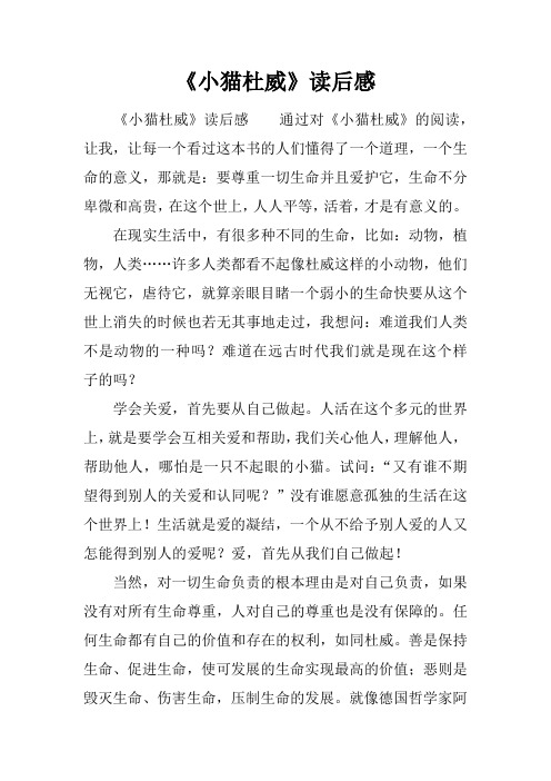 《小猫杜威》读后感