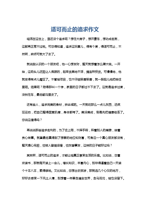 适可而止的追求作文