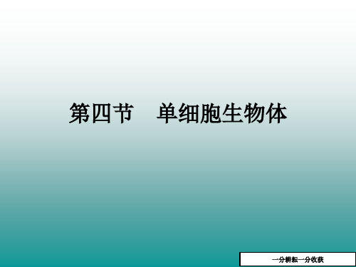 2018苏科版生物七年级下册93《单细胞的生物体》ppt课件1AKUPnP