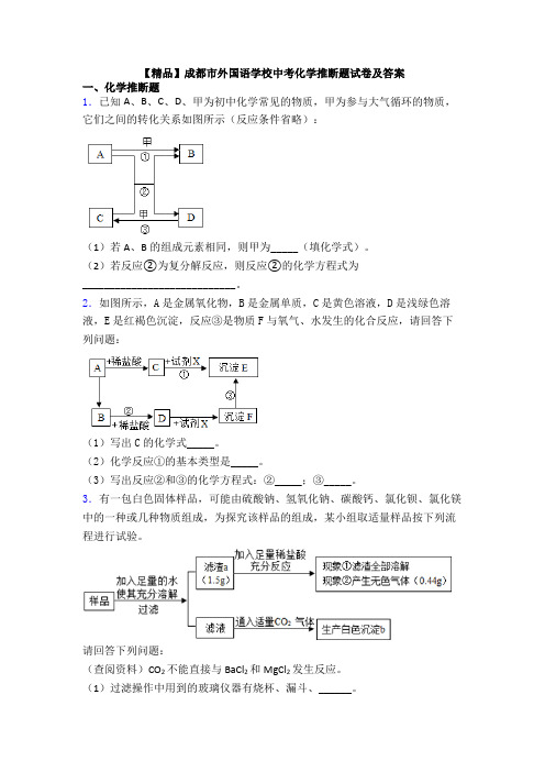 【精品】成都市外国语学校中考化学推断题试卷及答案