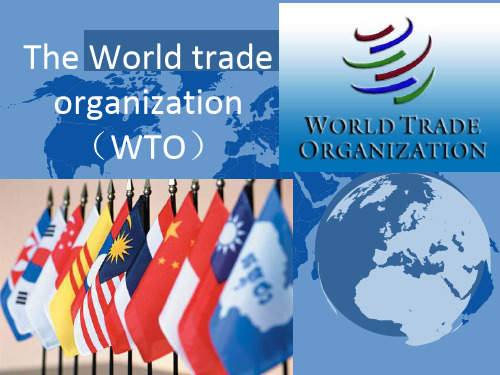 世贸组织英文WTO_presentation