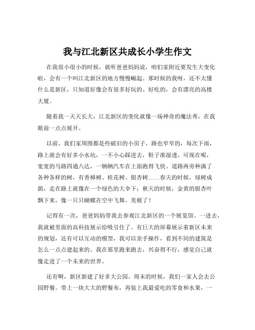 我与江北新区共成长小学生作文