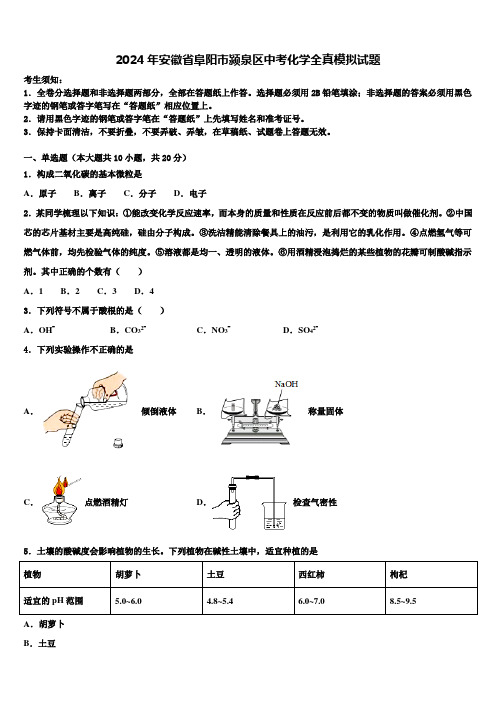 2024年安徽省阜阳市颍泉区中考化学全真模拟试题含解析