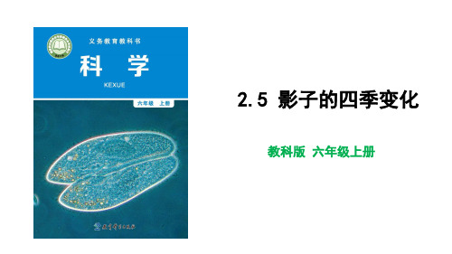 新教科版科学六年级上册《影子的四季变化》名师课件