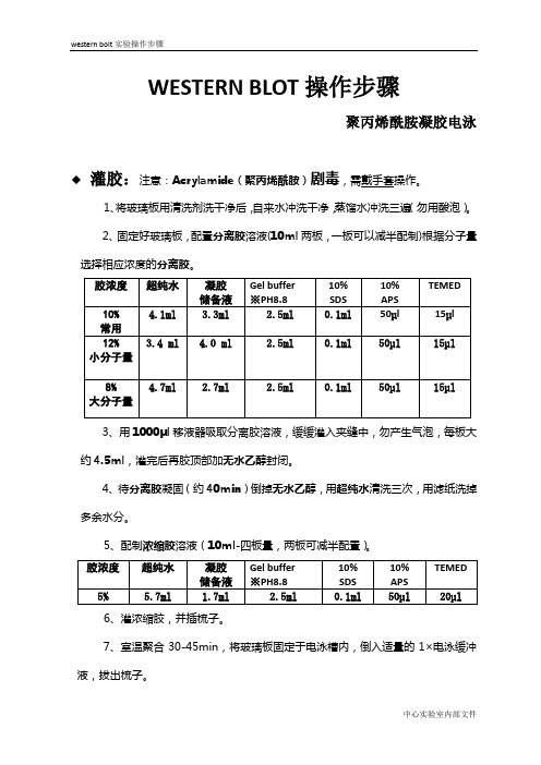 western实验步骤