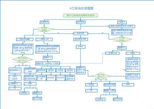 ACS诊治总流程图