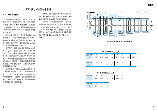 NSK轴承后缀代号说明(瑞莱宝)