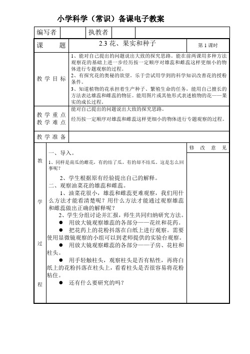 小学科学花、果实和种子