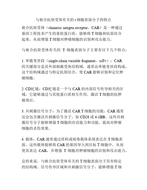 与嵌合抗原受体有关的t细胞表面分子的特点