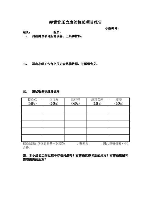 弹簧管压力表的校验项目报告