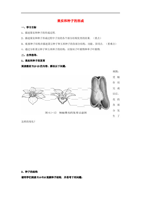 济南版生物八年级上册《果实与种子的形成》同课异构 精品教案