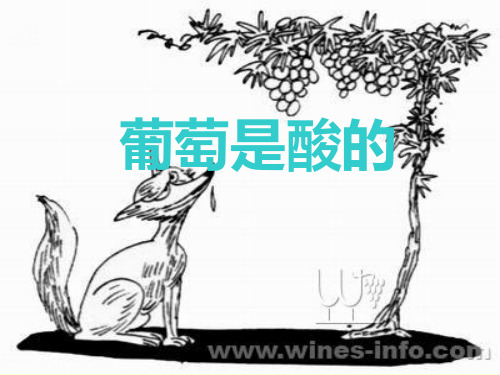 三年级语文上册--葡萄是酸的ppt课件