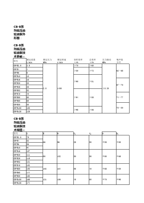 CB-B系列齿轮泵