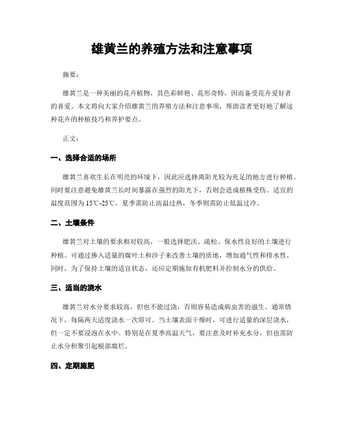 雄黄兰的养殖方法和注意事项