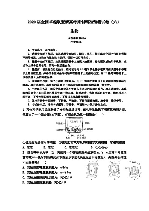 2020届全国卓越联盟新高考原创精准预测试卷(六)生物
