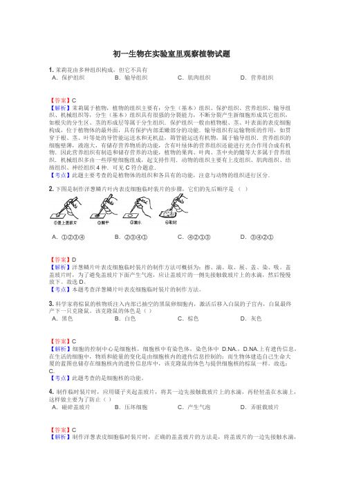 初一生物在实验室里观察植物试题
