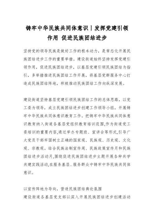 铸牢中华民族共同体意识丨发挥党建引领作用 促进民族团结进步