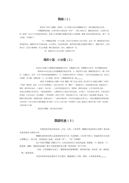 鹦鹉观察日记(5则)