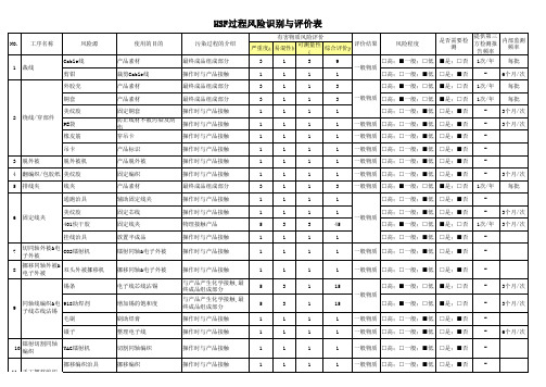 HSF过程风险识别与评价表范例